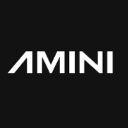 Amini